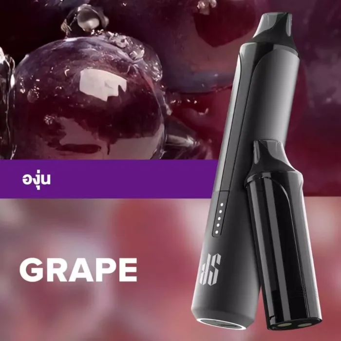 Ks Quik Pro 15000 Puff Grape starter Kit